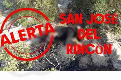 DE NUESTRO INBOX: Vecinos de San José del Rincón advierten presencia de la maña en 10 comunidades